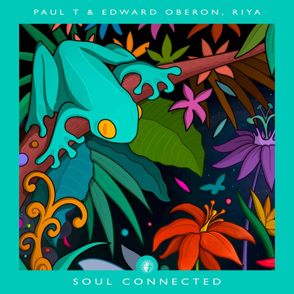 Picture of Soul Connected