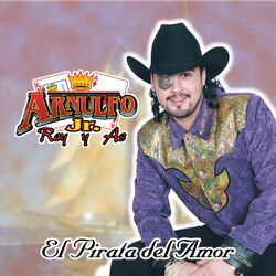 Cover of El Pirata Del Amor