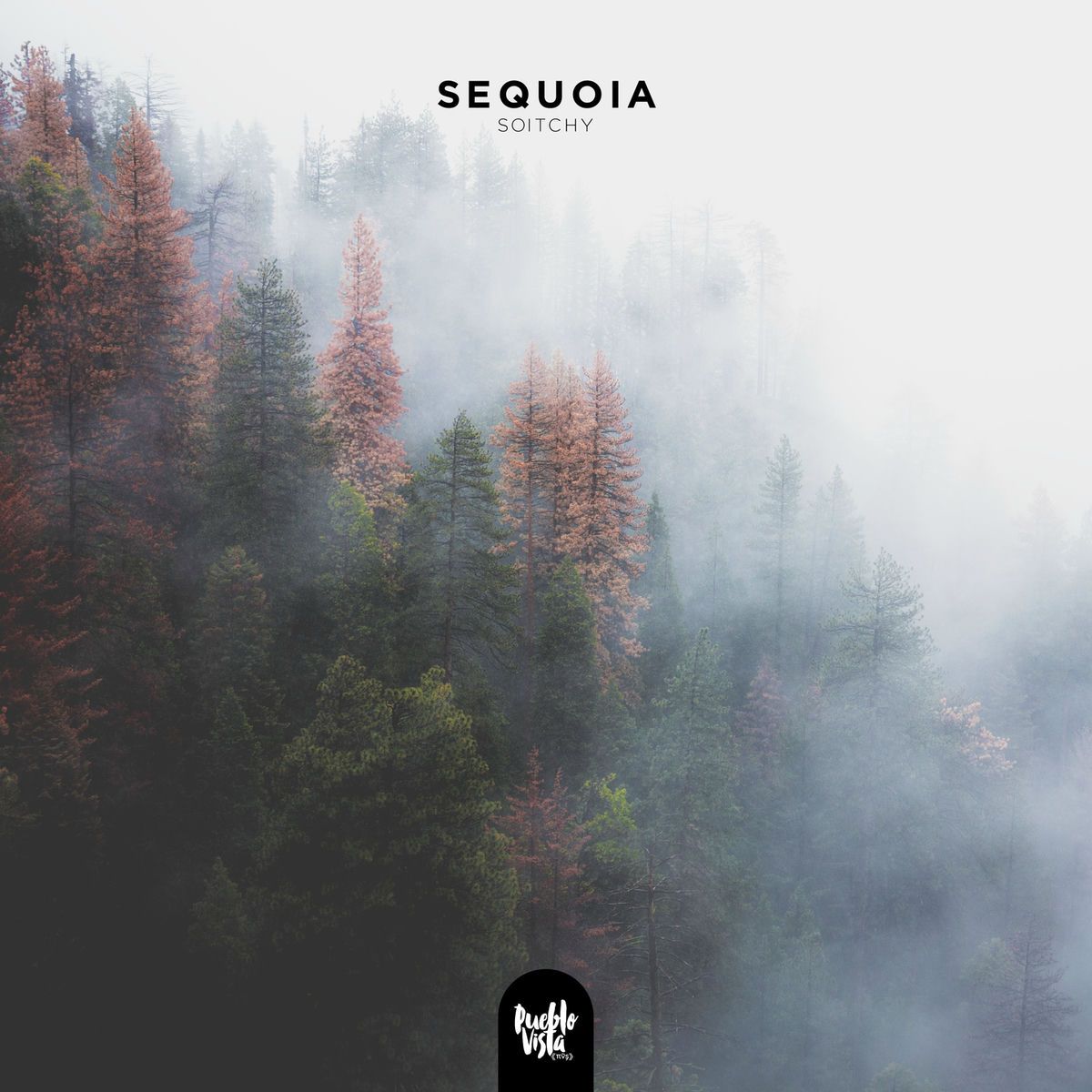 Album cover of Sequoia