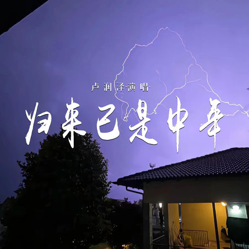 归来已是中年