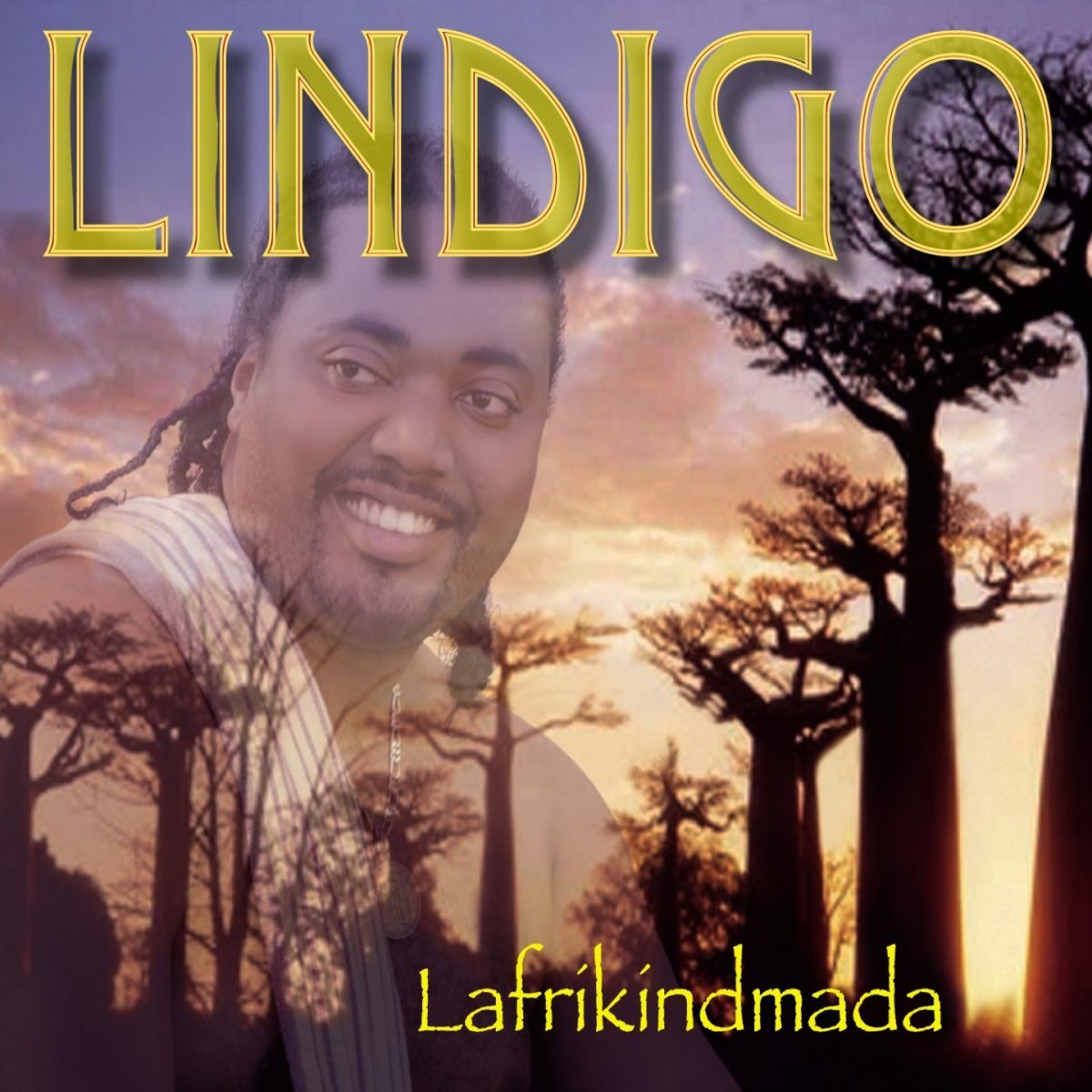 Album cover of L'Afrikindmada