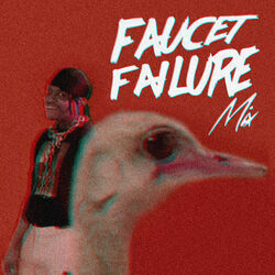 Cover of Faucet Failure