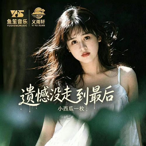 遗憾没走到最后