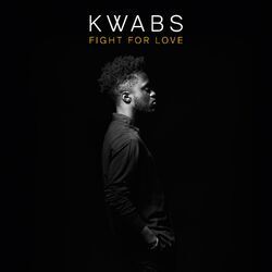 Cover of Fight for Love (Sam Gellaitry Remix)