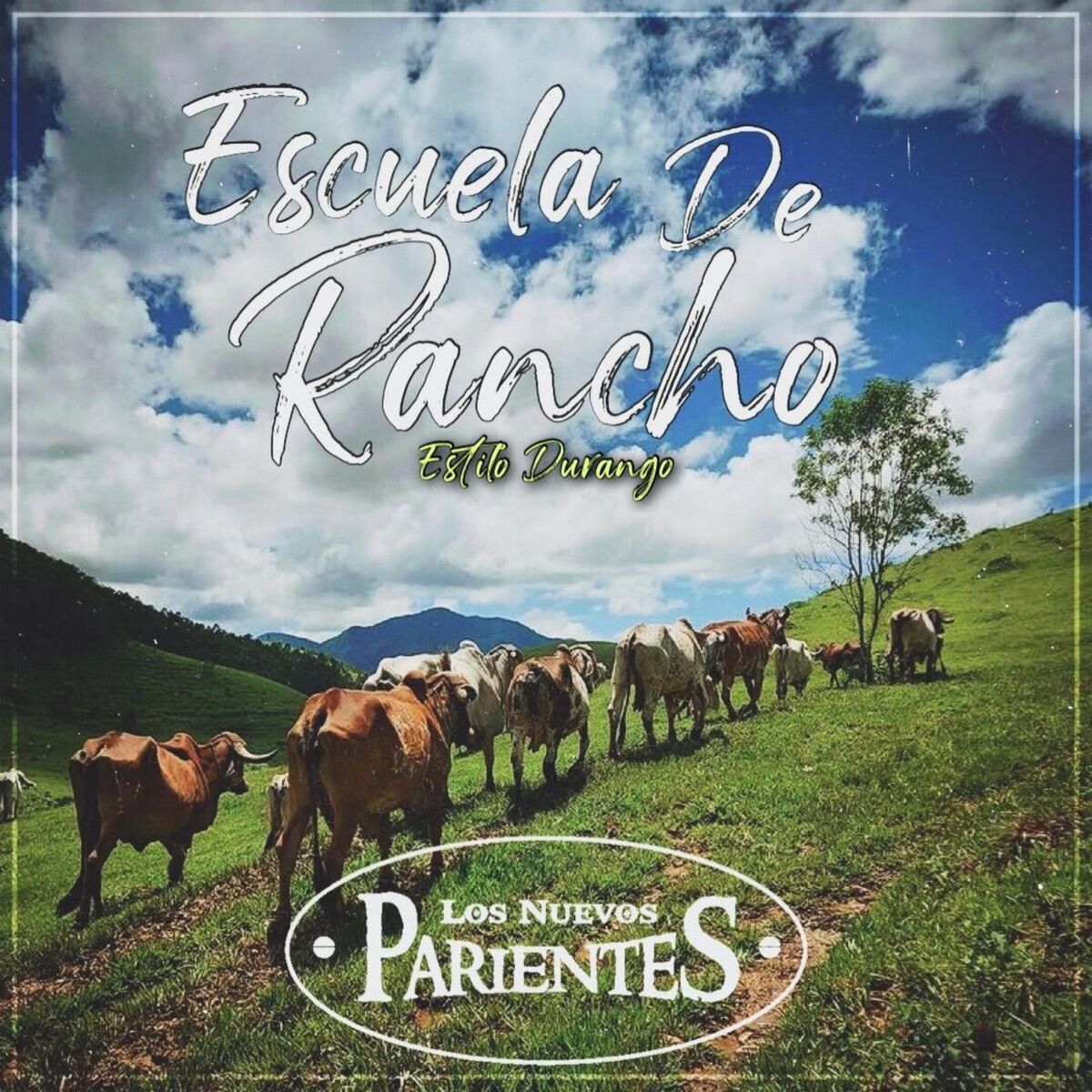 Album cover of Escuela de Rancho (Estilo Durango)