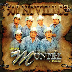 Cover of 500 Novillos