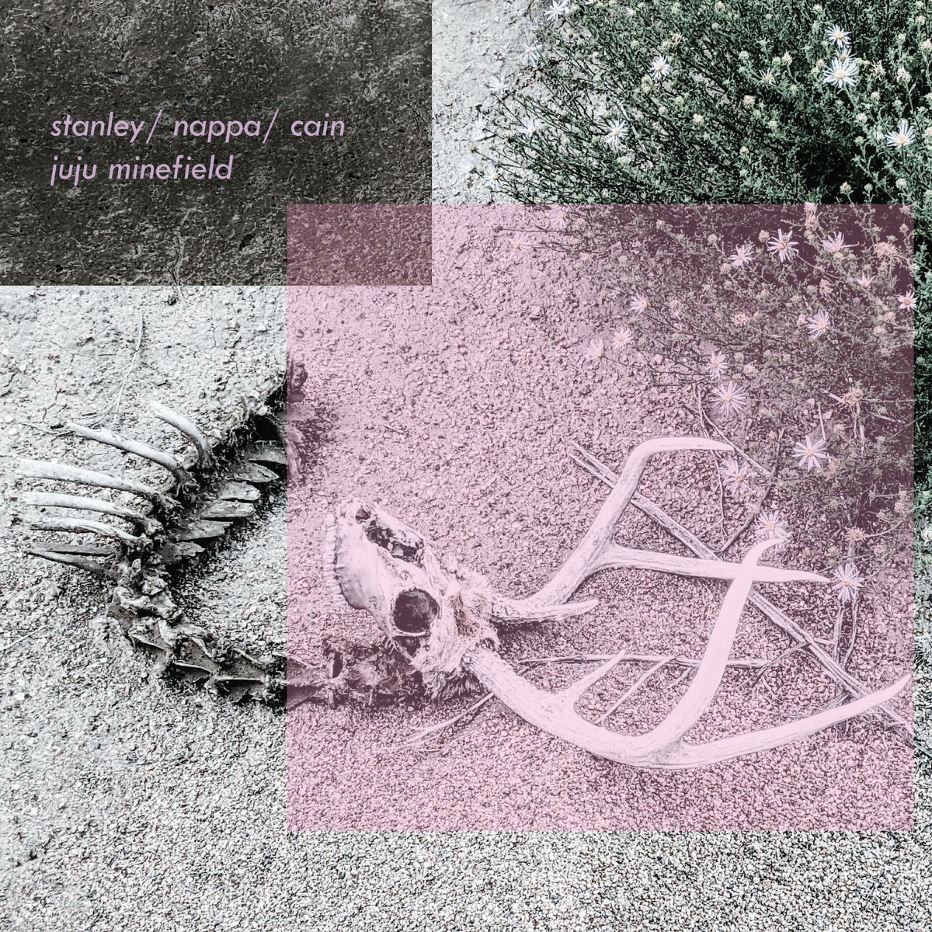 Album cover of Juju Minefield