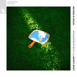 Cover of Young & Foolish
