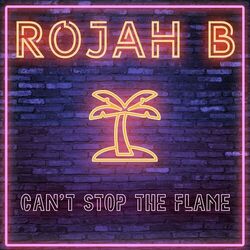 Cover of Can't Stop The Flame