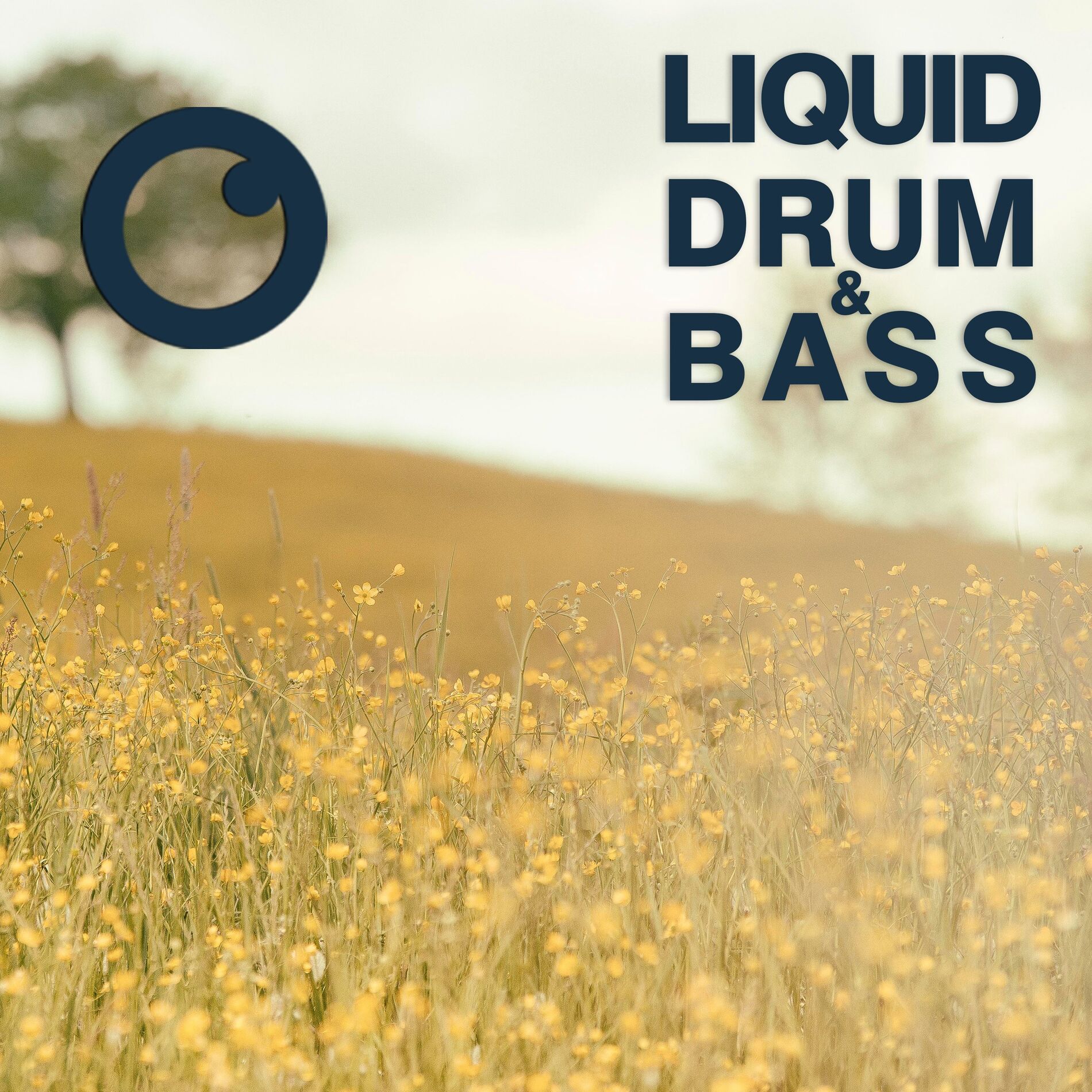 Album cover of Liquid Drum & Bass Sessions 2021 Vol 47