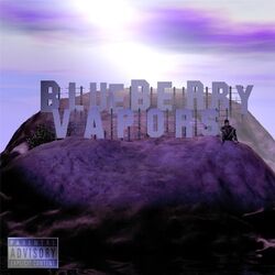 Cover of Blueberry Vapors