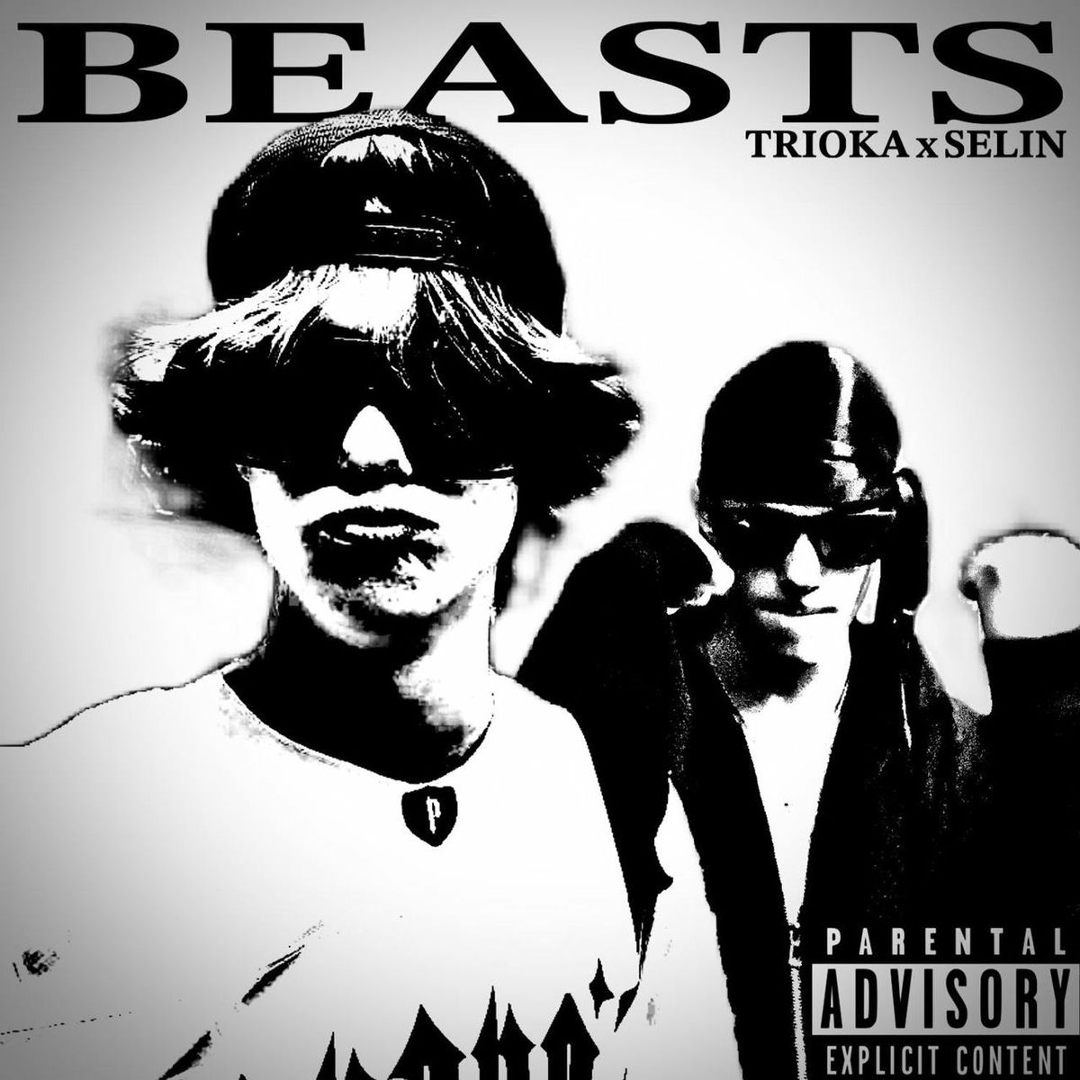 Album cover of BEAST