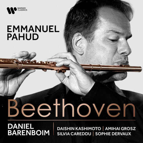 Serenade in D Major, Op. 25: II. Menuetto by Emmanuel Pahud - 103 BPM