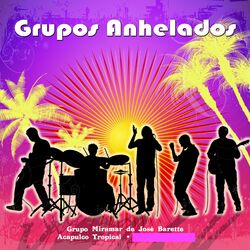 Cover of Grupos Anhelados