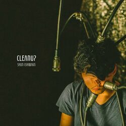 Cover of Clean Up