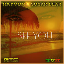 Cover of I See You