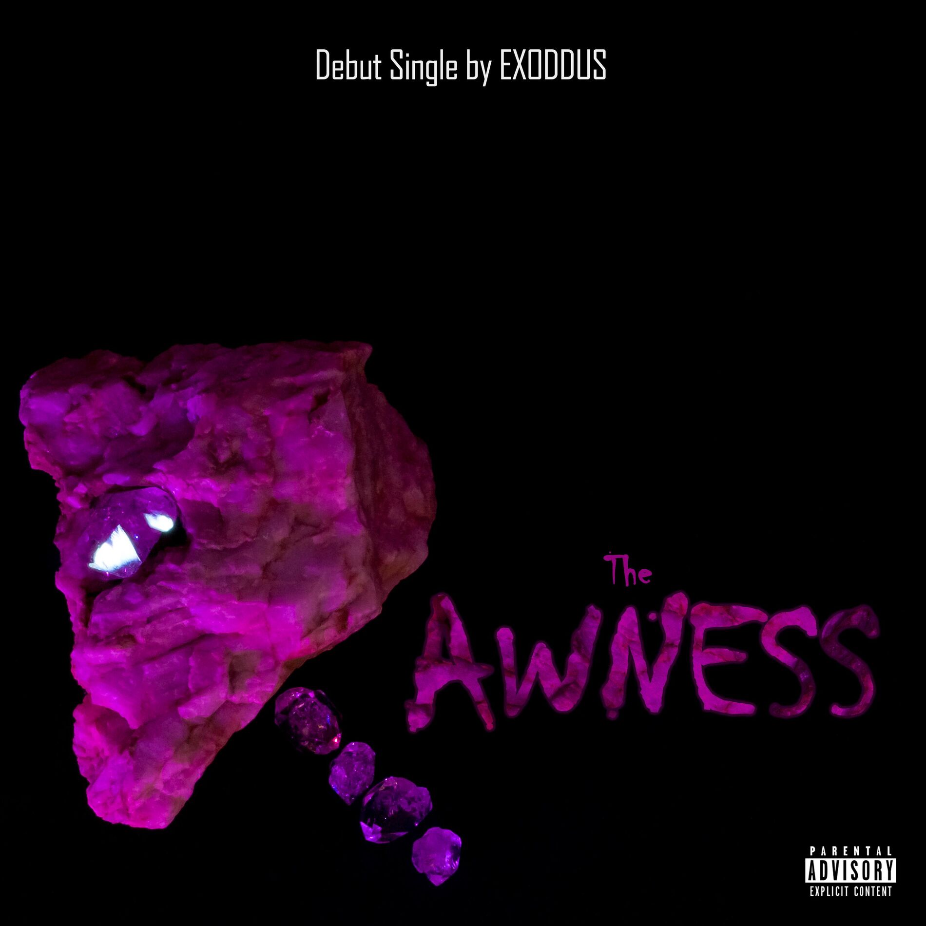 Album cover of The Rawness