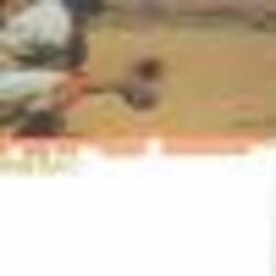 Cover of Home Run