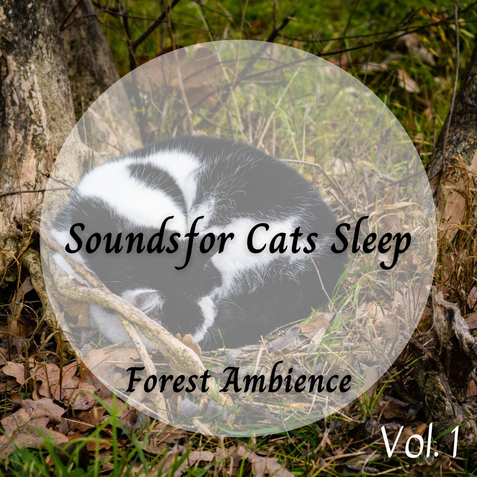 Album cover of Forest Ambience: Sounds for Cats Sleep Vol. 1