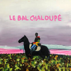 Cover of Cavalier noir