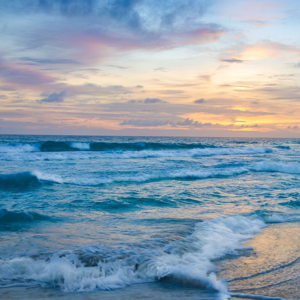 Picture of The Ocean