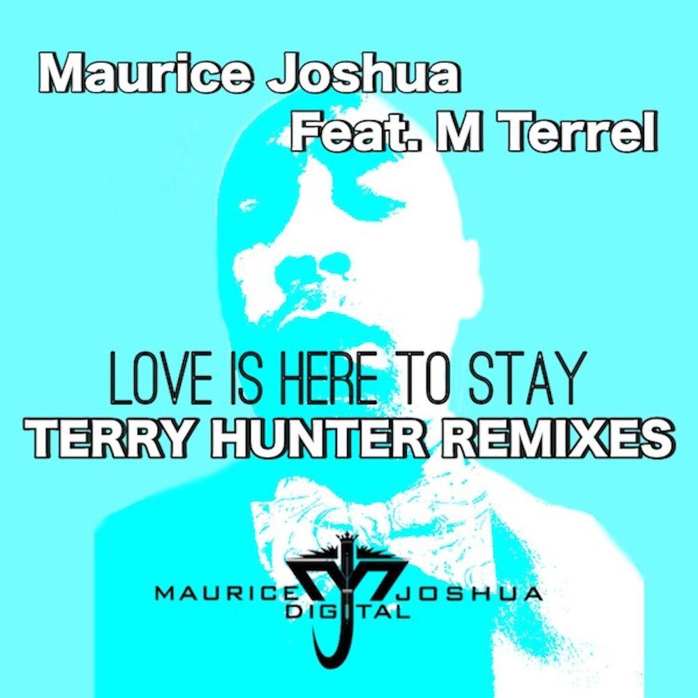 Picture of Love is Here to Stay (feat. M. Terrel) [Terry Hunter Remixes]