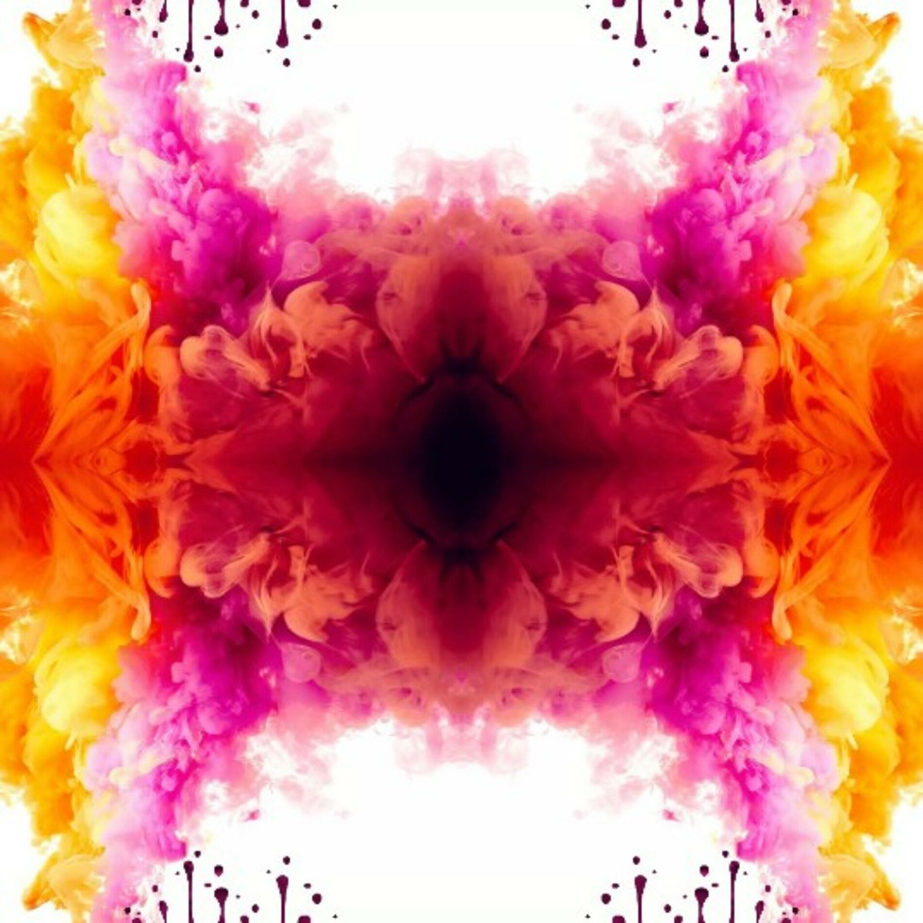 Album cover of Popin polo