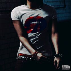 Cover of Female Top