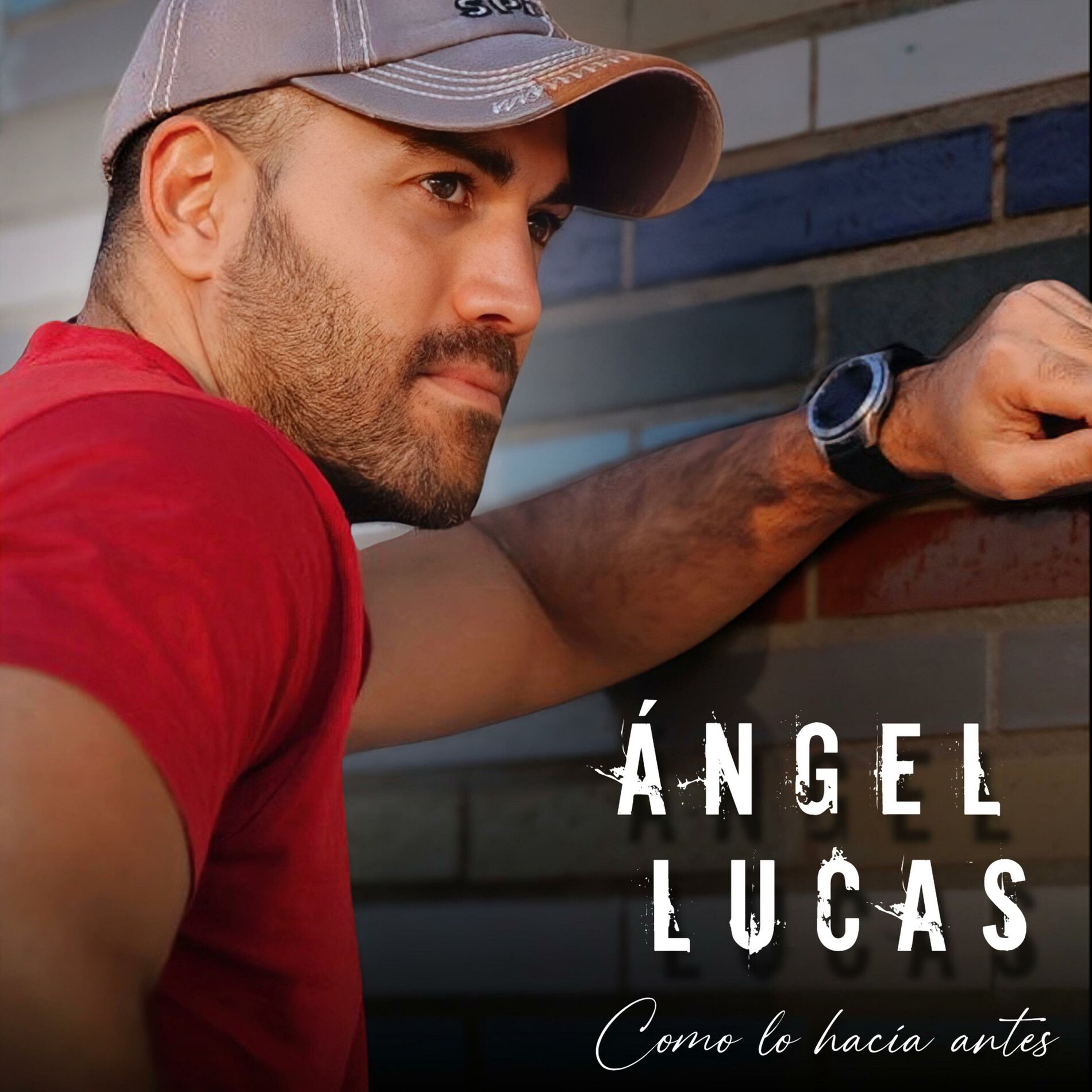 Album cover of Como lo hacía antes