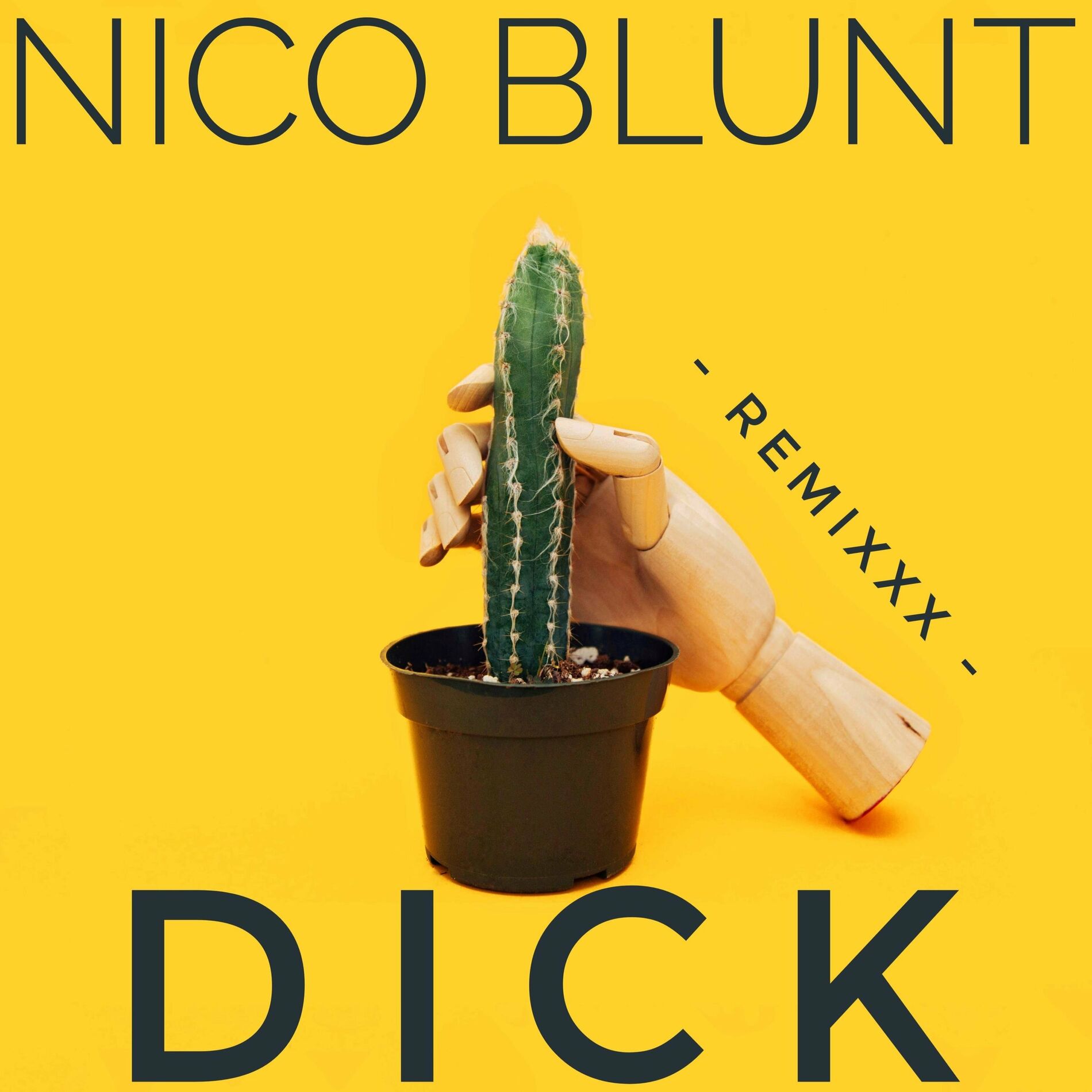 Nico Blunt Dick REMIXXX şarkı sözleri ve şarkılar Deezer 