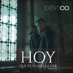 Cover of Hoy Que Te Vuelvo a Ver (Versión Salsa)