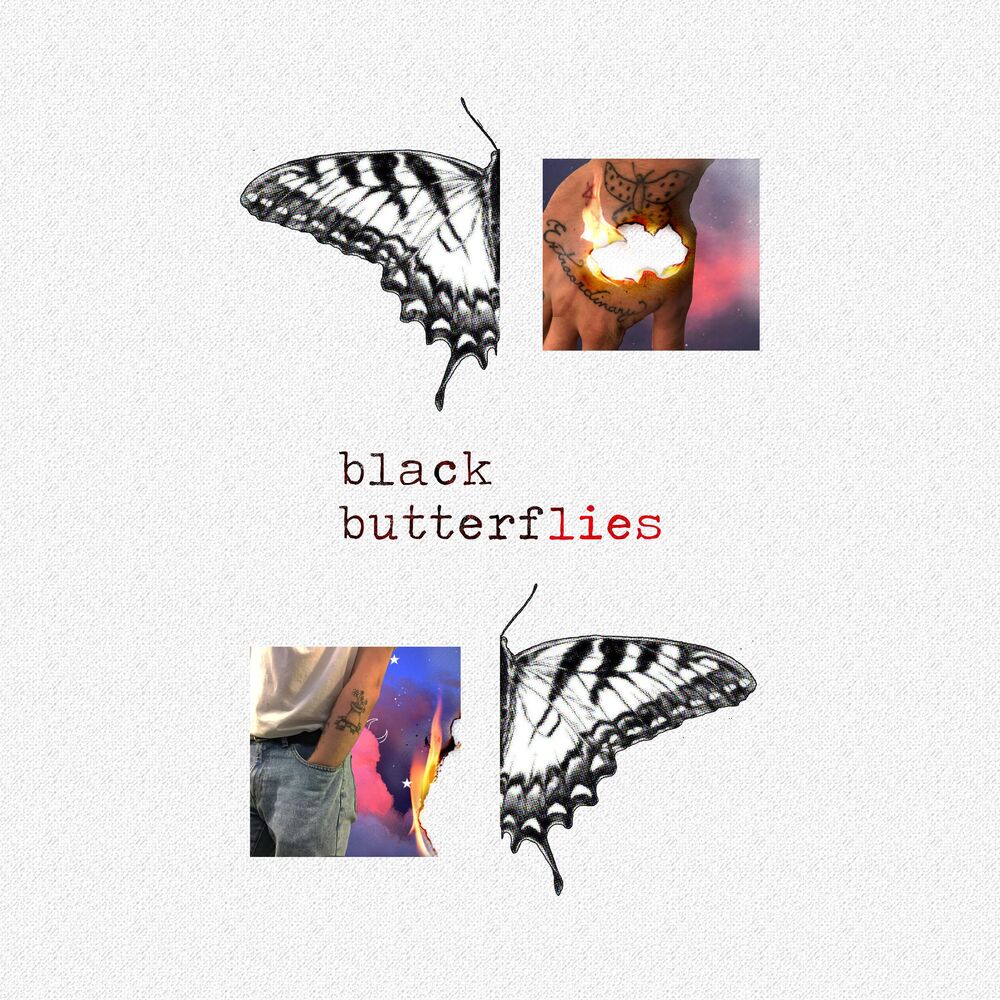 Picture of Black Butterflies