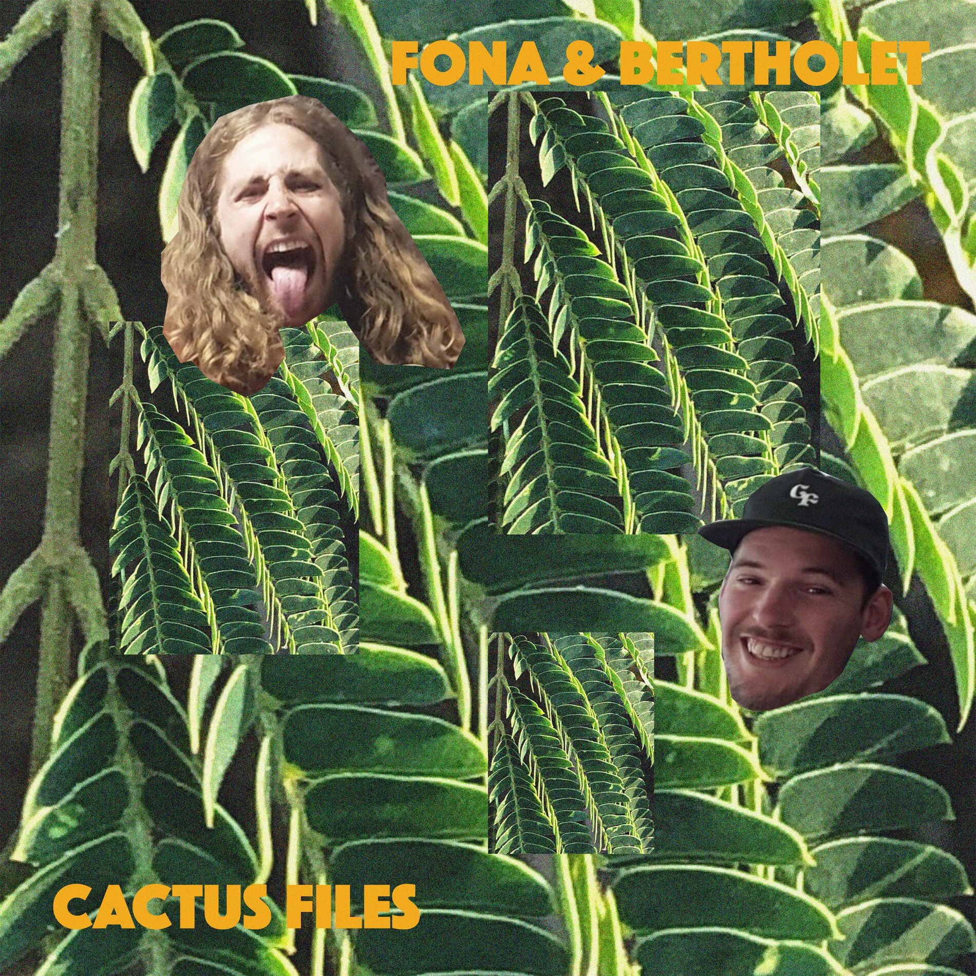 Album cover of Cactus Files