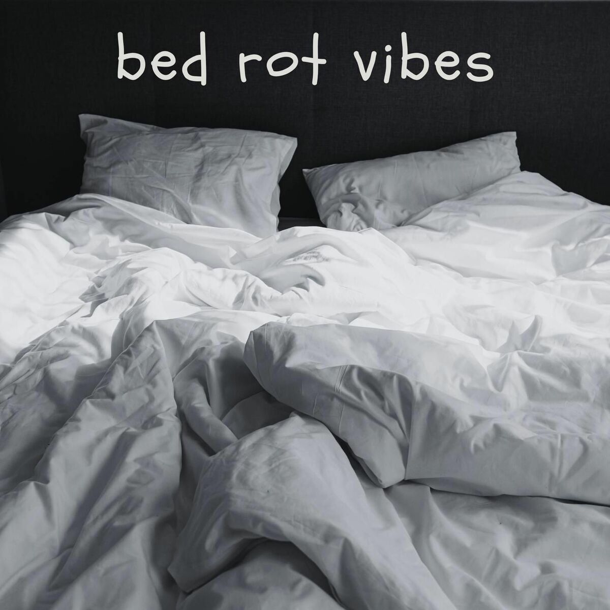 Album cover of bed rot vibes