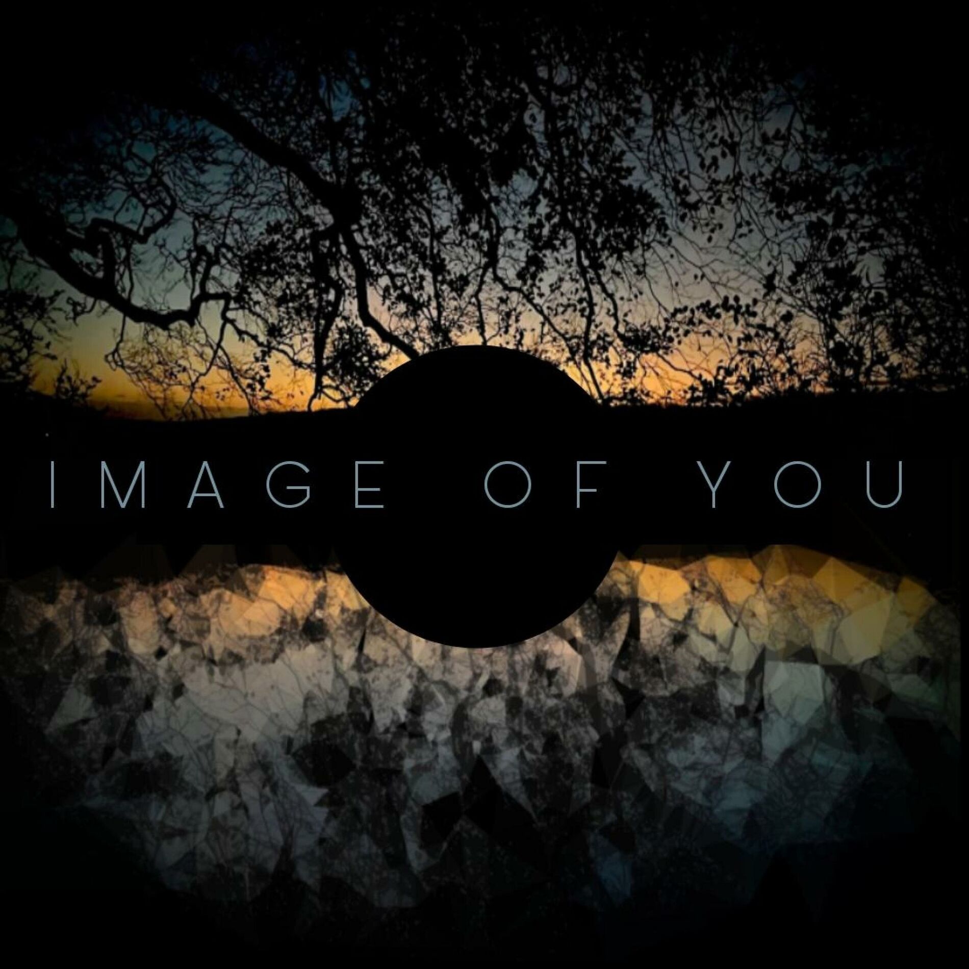 Album cover of image of you