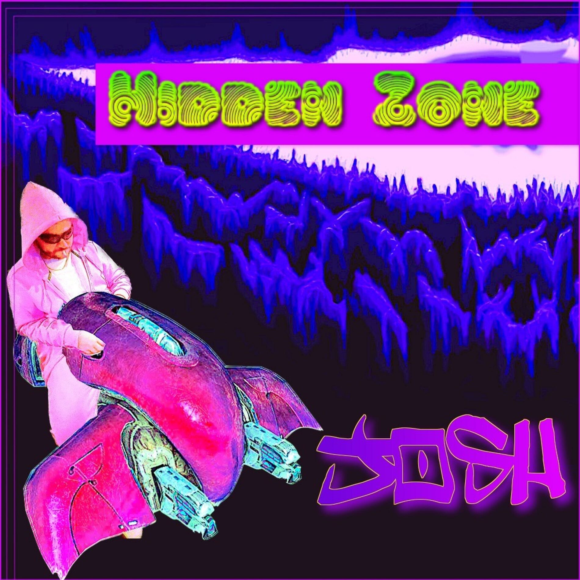 Album cover of Hidden Zone