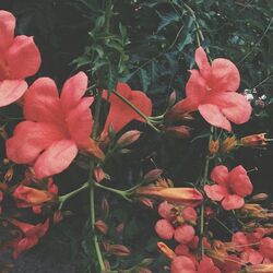 Cover of Disguise (feat. Josh Malilay)