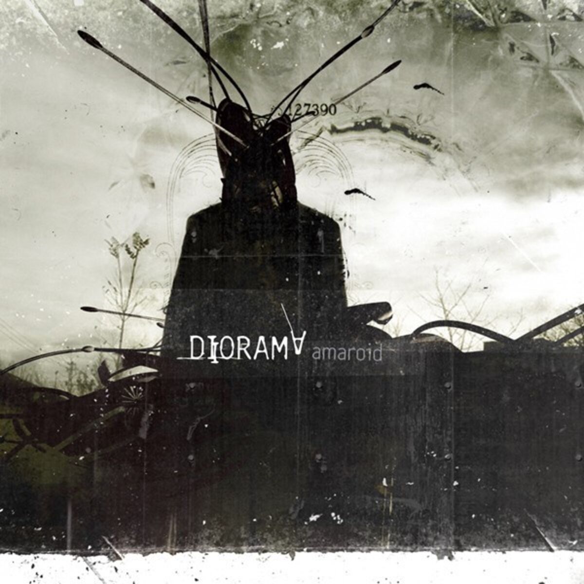 Album cover of amaroid