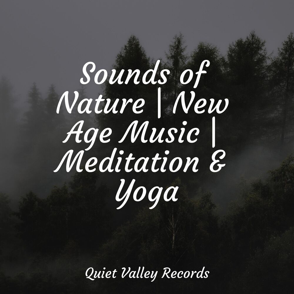Picture of Sounds of Nature | New Age Music | Meditation & Yoga