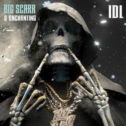 Cover of IDL