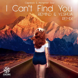 Cover of I Can´t Find You
