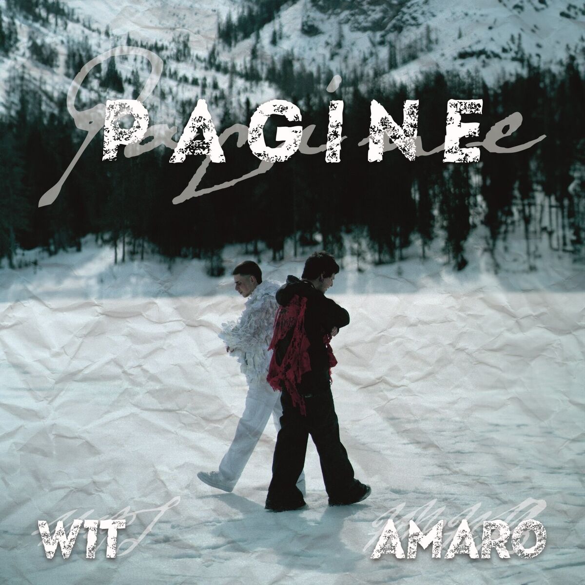 Album cover of PAGINE