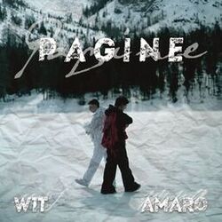 Cover of PAGINE