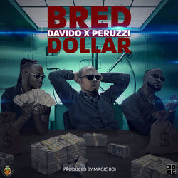 Cover of Dollar