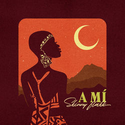 music cover