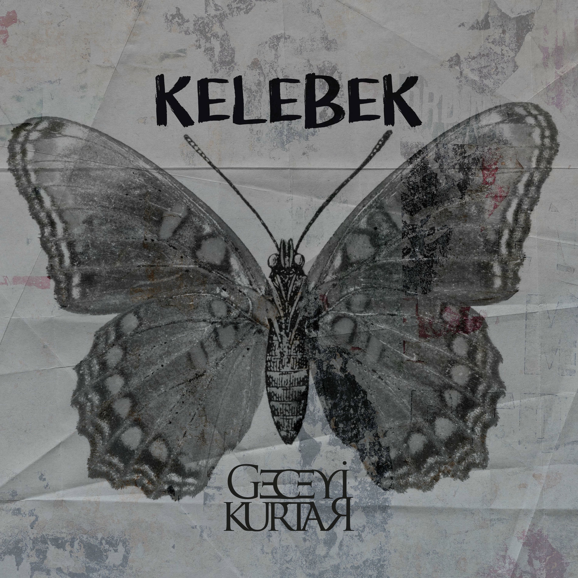 Album cover of Kelebek