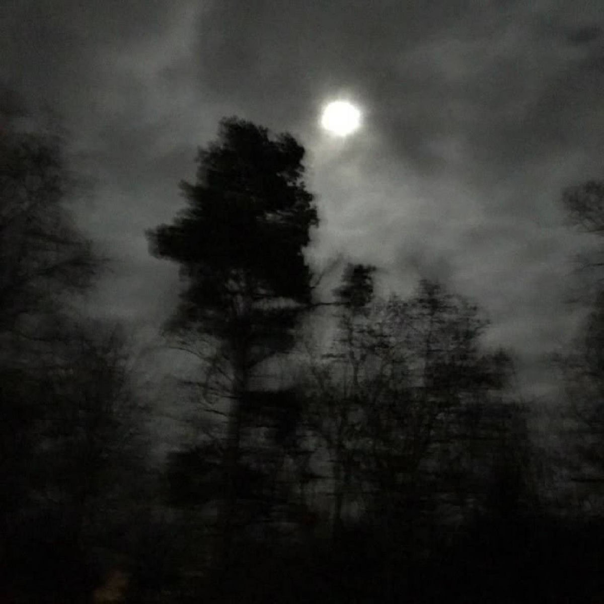 Album cover of ANNIHILATION