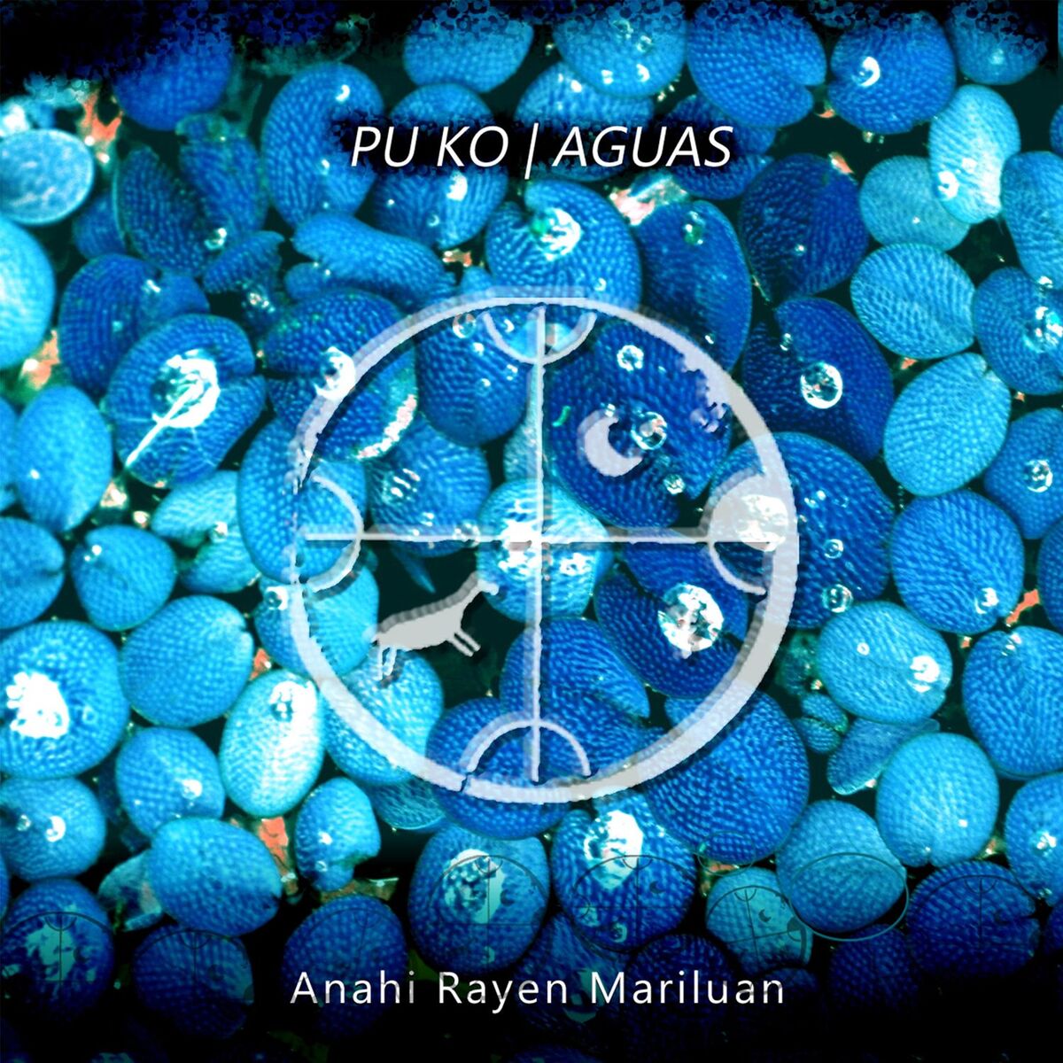 Album cover of Pu Ko / Aguas