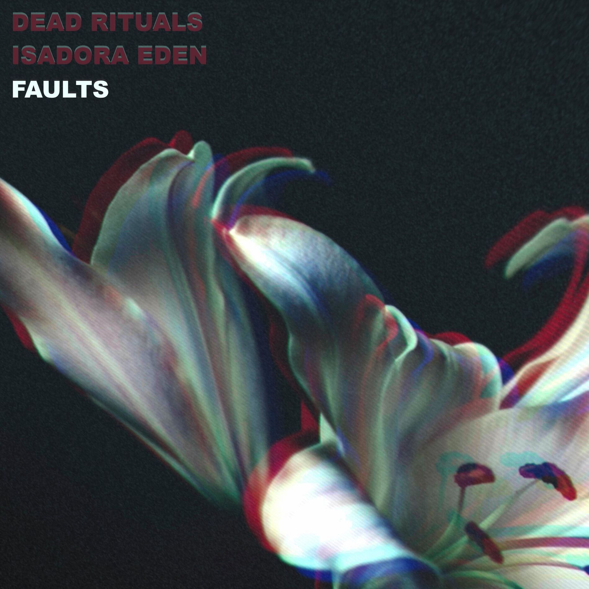 Album cover of Faults (feat. Dollpile)