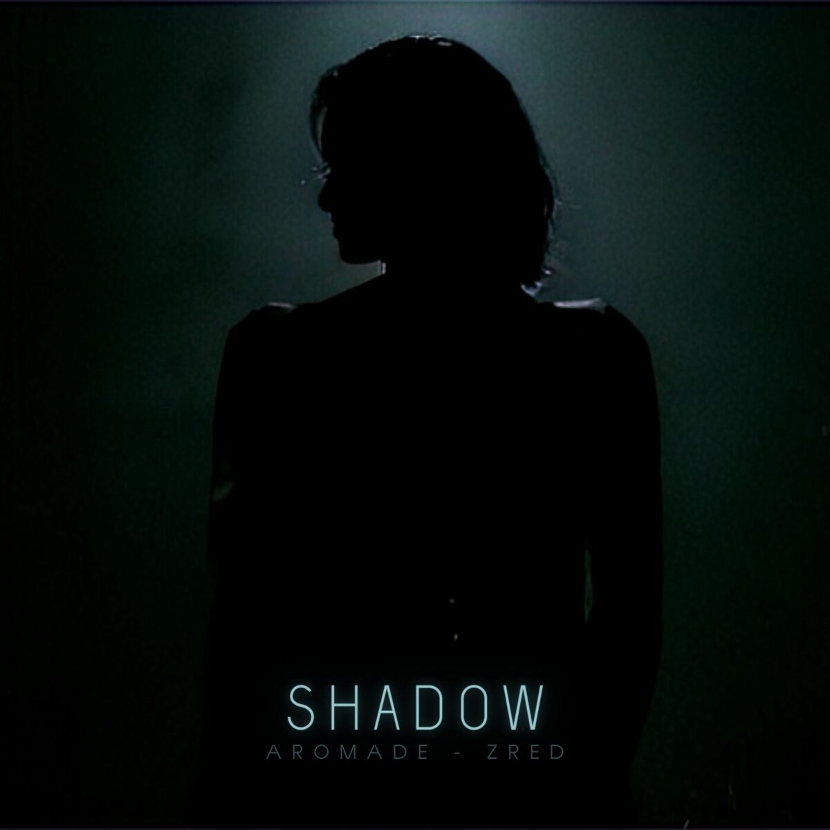 Album cover of Shadow